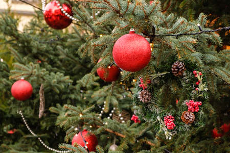 Christmas Card. Closeup of Red New Year balls and garland on a branches of natural Christmas tree...