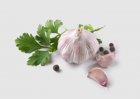 Fresh head of garlic with cloves, parsley and pepper on the grayの写真素材