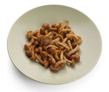 Some agaric honeys on the green plateの写真素材