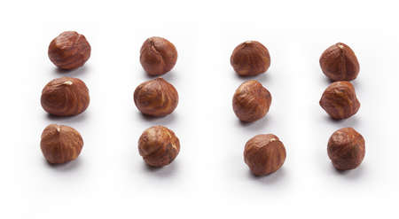 Set of brown hazelnuts on the white backgroundの写真素材