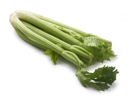 One isolated green celery on the white backgroundの写真素材