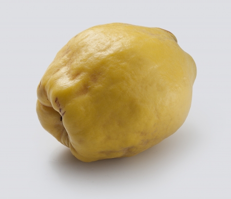 Isolated whole yellow quince ont he grey backgroundの写真素材