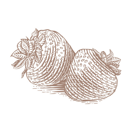Drawing of the two isolated strawberriesのイラスト素材