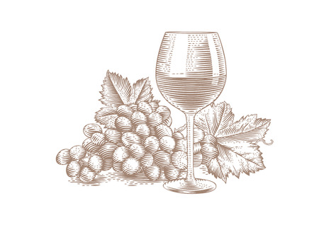 Drawing of glass of red wine with bunch of grapeのイラスト素材