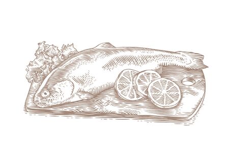 Drawing of trout with fresh lemon pieces and green leaves of lettuce on the wooden boardのイラスト素材