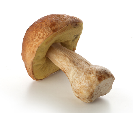 Isolated raw white mushroom on the white backgroundの写真素材