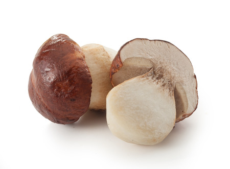 Isolated raw white mushrooms on the white backgroundの写真素材