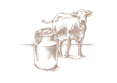 Drawing of can of milk and a brown cow on the grassのイラスト素材