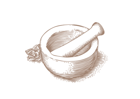 Mortar bowl and pestle with fresh green oreganoのイラスト素材