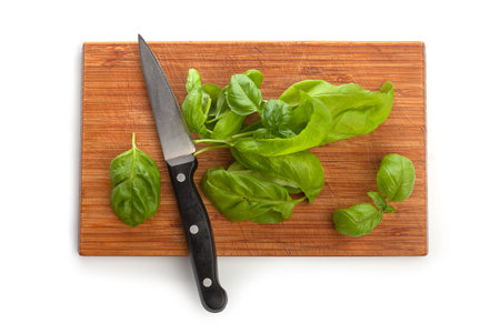 Basil leaves on the wooden boardの写真素材