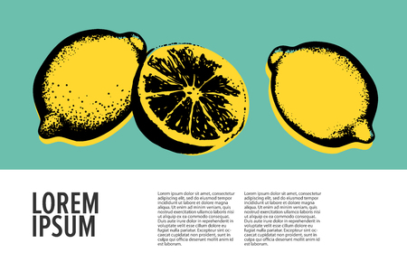 Vector hand drawn lemon. Tropical fruit. Sketch. Pop art. Healthy eating vector concept with lemons and copyspace. Diet and organic food template.のイラスト素材