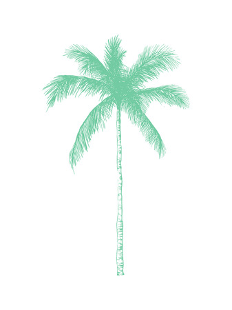 Vector hand drawn palm. Tropical summer engraved style illustration. Perfect for invitations, greeting cards, posters.のイラスト素材