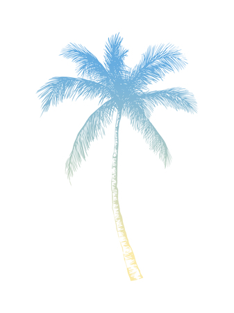 Vector hand drawn palm. Tropical summer engraved style illustration. Perfect for invitations, greeting cards, posters.のイラスト素材