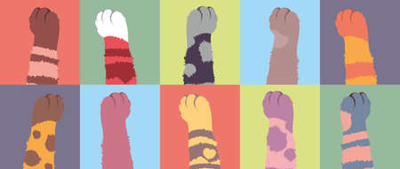 Paws of cats of different colors. 10 spotted, striped, one-color cat legs in rectangles. Shaggy woolen paws in the vector. Painting of modern art.のイラスト素材