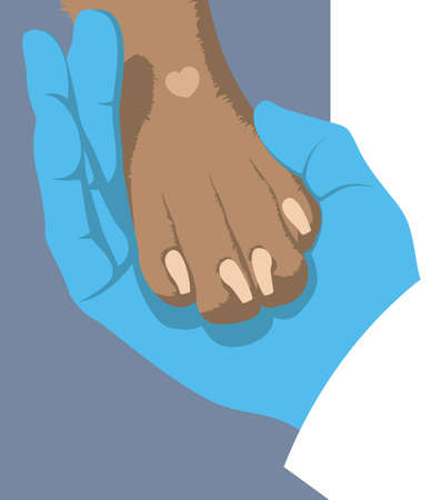 Hand of a veterinarian in medical glove gently holds a dogs paw on a blue background. Symbol of love for dogs. Zoologist. animal protection community. Vector flat design.のイラスト素材