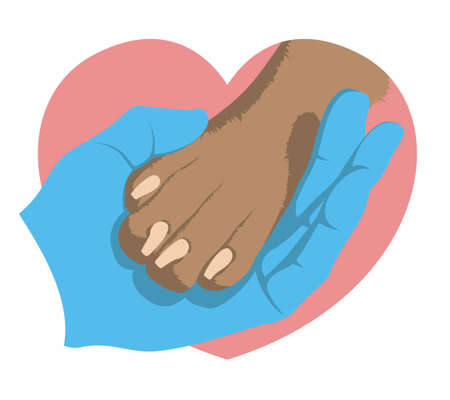 The hand of veterinarian in a medical glove gently holds a dogs paw on the background of a pink heart. Zoologist and animal. Symbol of love for dogs. animal protection community. Vector flat design.のイラスト素材