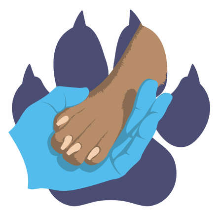 The hand of veterinarian in medical glove gently holds a dogs paw on the background of the imprint of a dogs paw. Symbol of love for dogs. Zoologist. animal protection community. Vector flat design.のイラスト素材