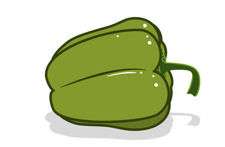 fresh bell pepper. Vector paprika. Green sweet pepper. Outline drawing on white backgroundのイラスト素材