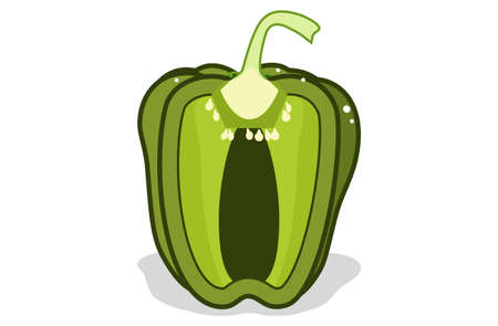 fresh bell pepper. Vector paprika. Green sweet pepper. Outline drawing on white backgroundのイラスト素材