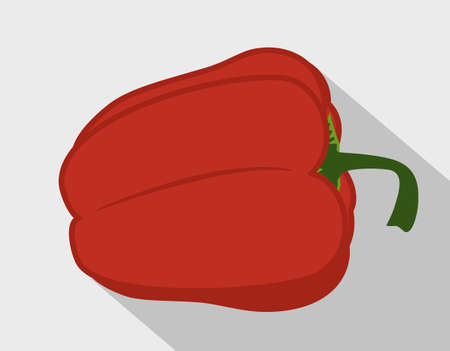fresh bell pepper. Vector paprika. Red sweet pepper. Flat design drawing on light backgroundのイラスト素材
