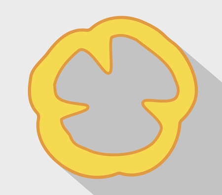 Freshly chopped bell pepper. Vector paprika. Yellow sweet pepper. Flat design drawing on light backgroundのイラスト素材