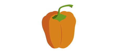 fresh bell pepper. Vector paprika. Orange sweet pepper. Flat design monochrome drawing on white backgroundのイラスト素材