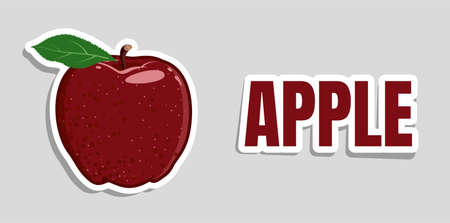 Red vector apple sticker. Juicy fruit isolated on gray background. Red Delicious. Letteringのイラスト素材