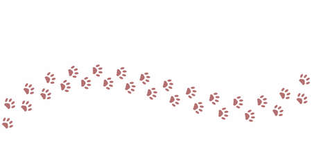 Pink cat paw path isolated on white background. The curved vector path of cat foot prints. The kitten walked through the white snowのイラスト素材