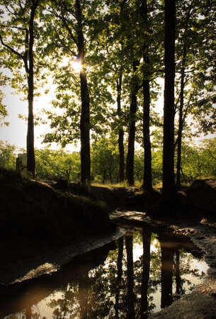 Watercourse 2の写真素材