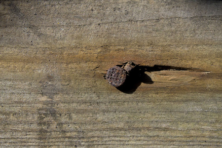 Wood Texture 16の写真素材