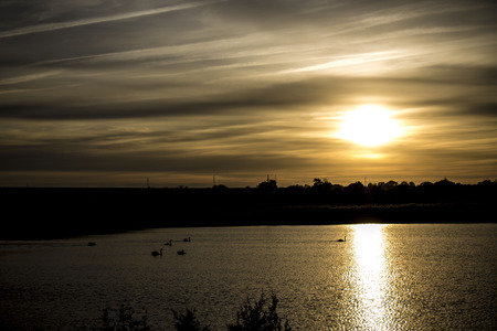 swan lakeの写真素材