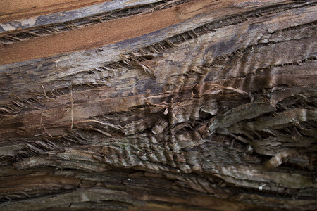 wood textureの写真素材