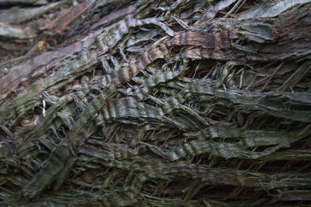 wood textureの写真素材