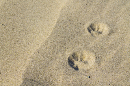 The surface of the sand, backgroundの写真素材