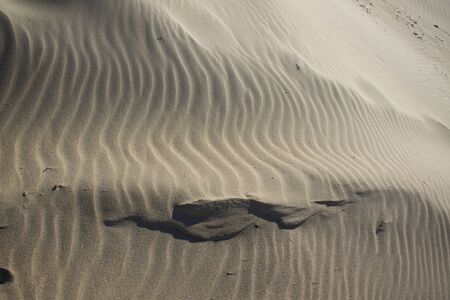 Sandy Landscapeの写真素材