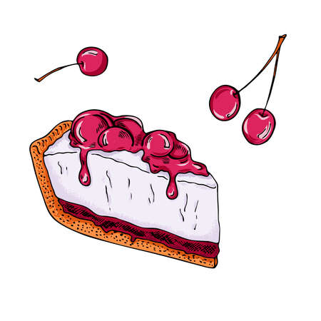 Cheesecake piece with cherry jam and cherry berries on white background. Hand drawn vector...