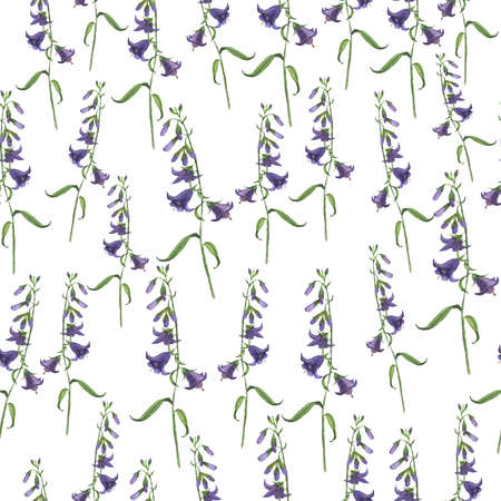 Wild bell flower. Hand drawn illustration.の写真素材