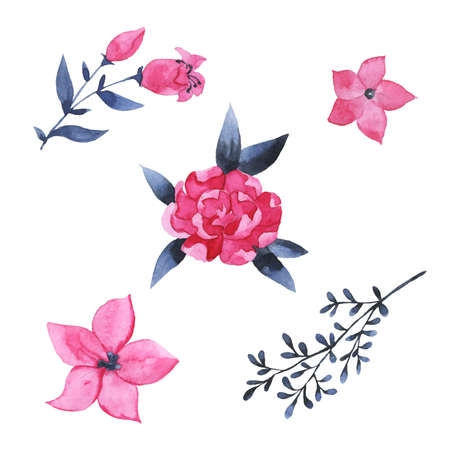 Set of gray indigo and pink flowers isolated on white background. Hand drawn watercolor illustration.のイラスト素材