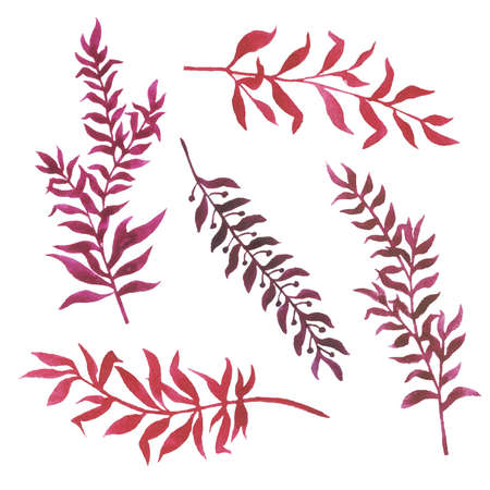 Set of pink and lilac branches and leaves on white background. Hand drawn watercolor illustration.のイラスト素材