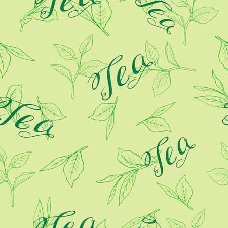 Seamless pattern with tea leaves on pastel green background. Hand lettering. Hand drawn vector illustration.のイラスト素材