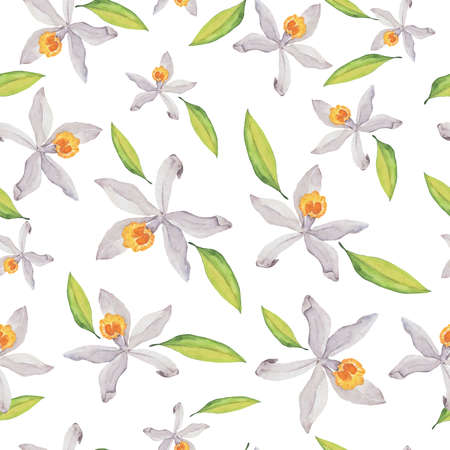 White vanilla orchid flowers and green leaves.