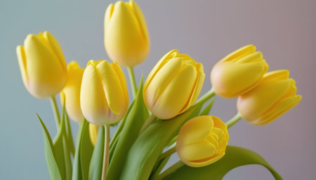 Bouquet of yellow tulips on pastel background. Generative AI.の素材