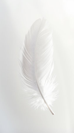 Close-up of elegant white feather against light background with sun rays and shadows. Airy concept. Generative AI.の素材