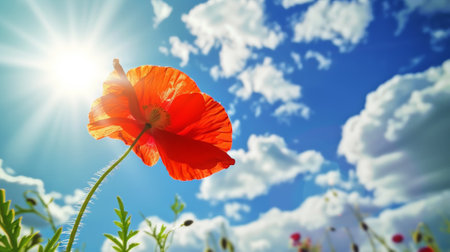 Close up of red poppy flower against blue sky background. Spring landscape concept. Generative AI.の素材