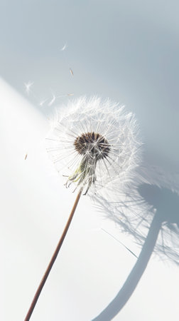 Detailed macro shot of single dandelion with seeds on white background with sun rays. Aesthetic concept. Generative AI.の素材