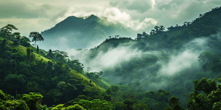 Tropical green mountains with mist. Cloudy foggy sky backdrop. Generative AI.の素材