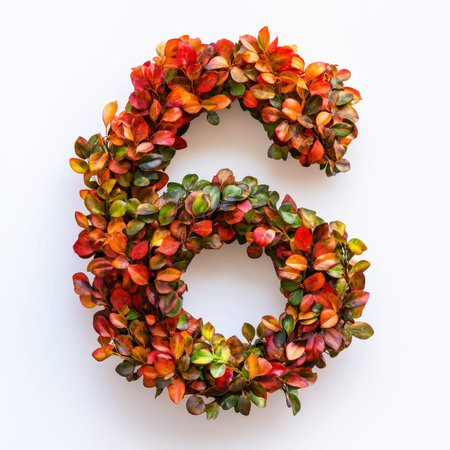 Number 6 made of fall leaves, flowers. berries. Vibrant autumn colours. White clean background. Generative AI.の素材