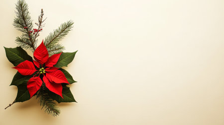 Aesthetic minimalistic Christmas light background with poinsettia flower and fir branch, copy space. Generative AI.の素材