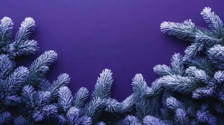 Aesthetic purple christmas background with fresh dark green fir branches, copy space. Generative AI.の素材