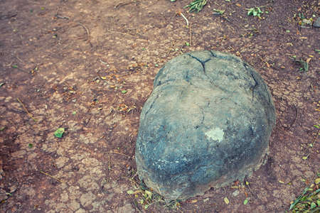 lonely stone in the gardenの写真素材